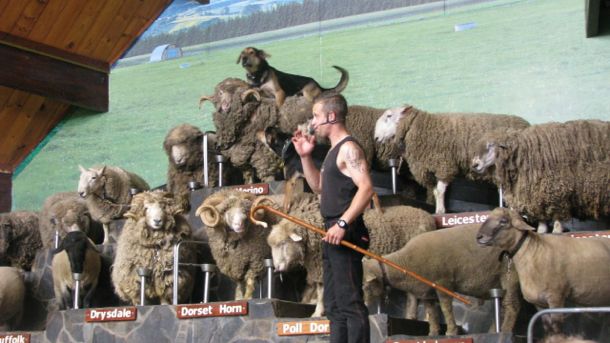 Agrodome